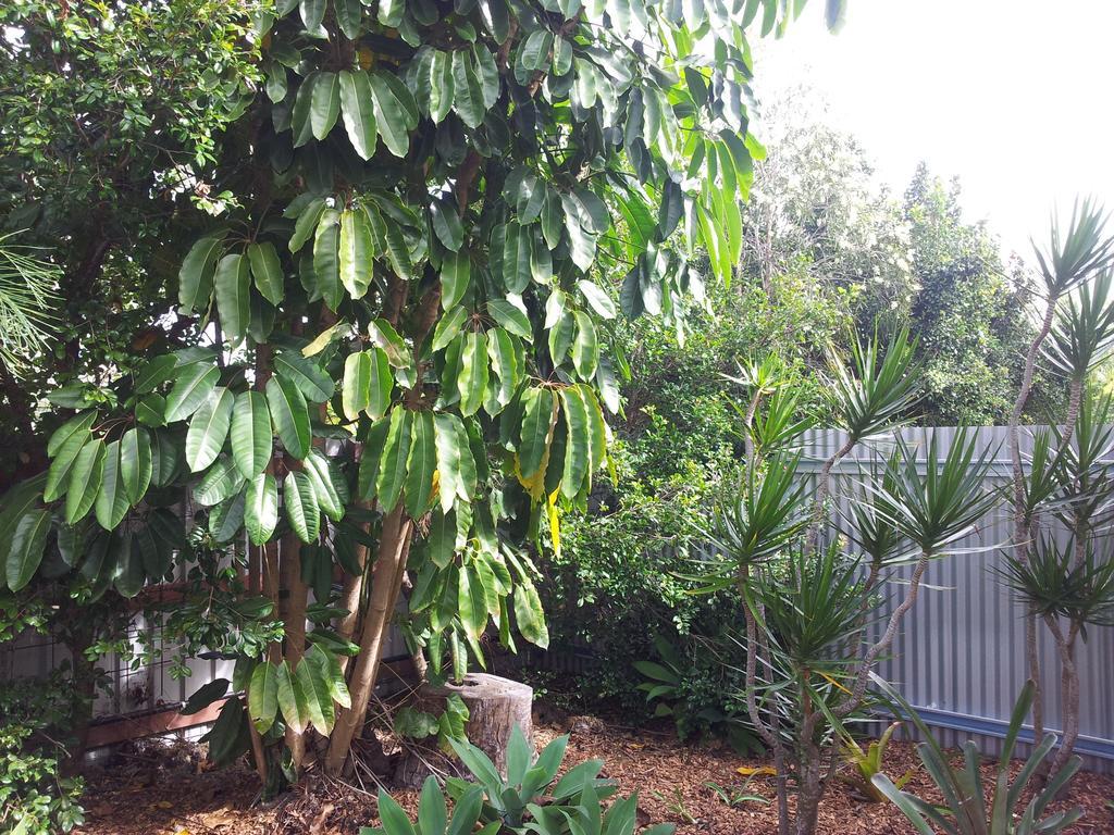Bluegrass Bnb Bundaberg Eksteriør bilde
